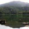 Cheakamus Lake trail