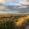 Boundary Bay