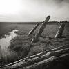 Ladner dyke trail