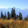 Paul Ridge to Elfin Lakes