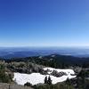 Mount Seymour Hiking Trail