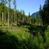 Bosumarne Falls Trail