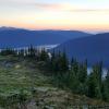 Wavy Crest Trail