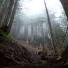 Grouse grind