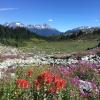 Iceberg lake