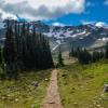 Panorama Ridge Trail