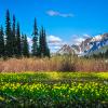 Tenquille-Owl Lakes trail system