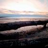 Iona Spit Trail