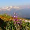 Elfin Lakes