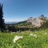 Panorama ridge Trail