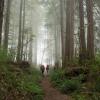 The West Coast Trail