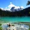 Joffre Lakes