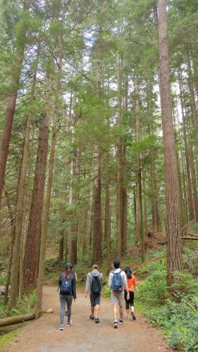 Lynn Canyon Park