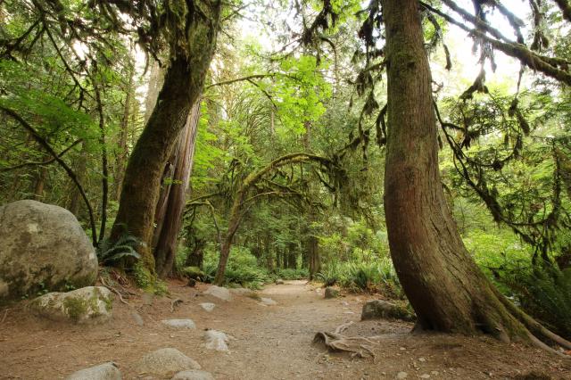 Baden Powell Trail