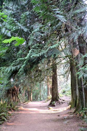 Cyrstal Falls Trail