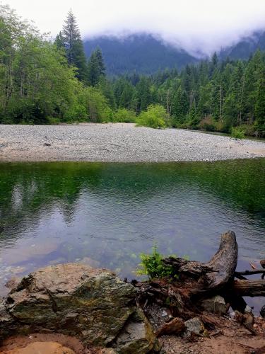 Lower Falls Trail