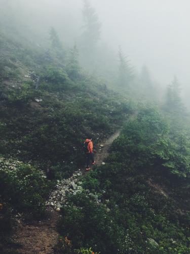 Flora Lake Trail