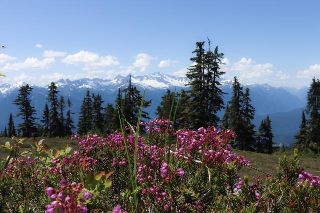 Elfin Lakes Trail