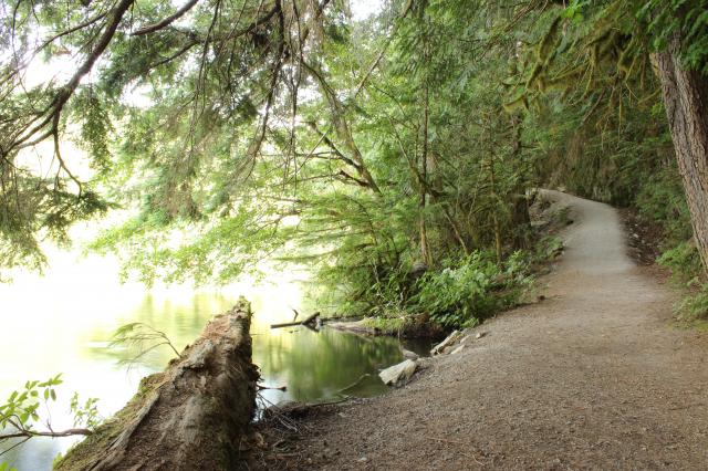 Alice Lake Trail