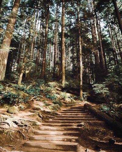 Lynn Canyon Walk