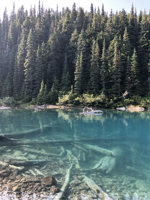 Garibaldi Lake Trail