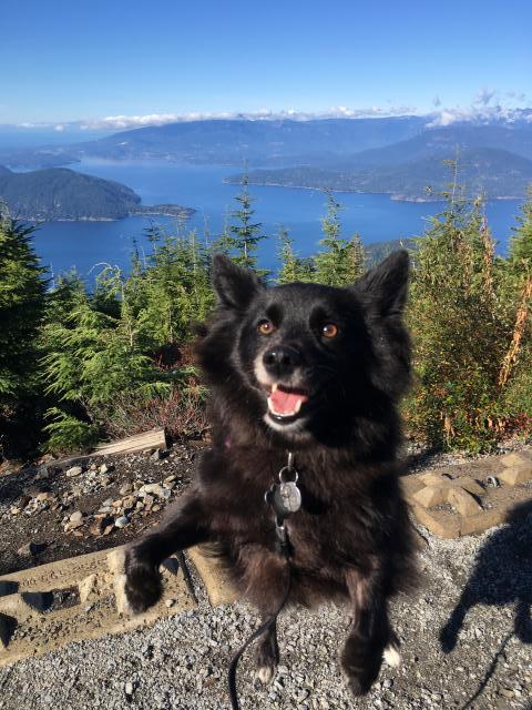 Bowen Island Lookout