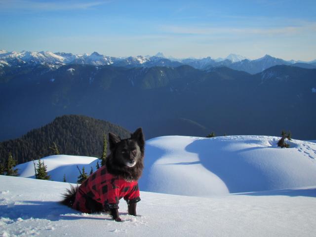 Mount Seymour