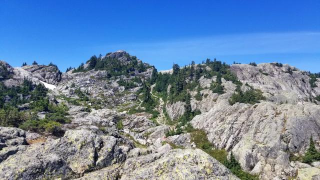 Mt Seymour Trail