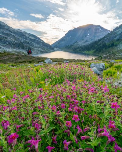 Ring Lake Trail