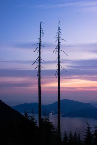 St Marks Summit