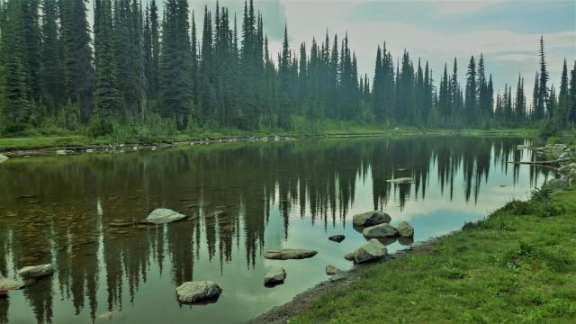 Revelstoke Summit Hike