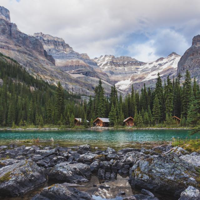 Lake O'hara Lake Loop Trail