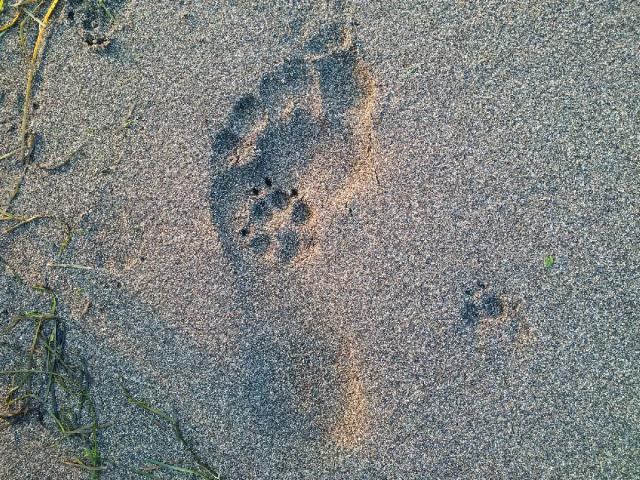 Iona Beach Regional Park