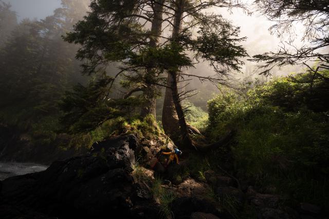 Juan De Fuca Trail