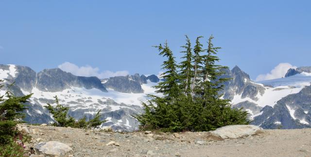 Opal Cone Trail