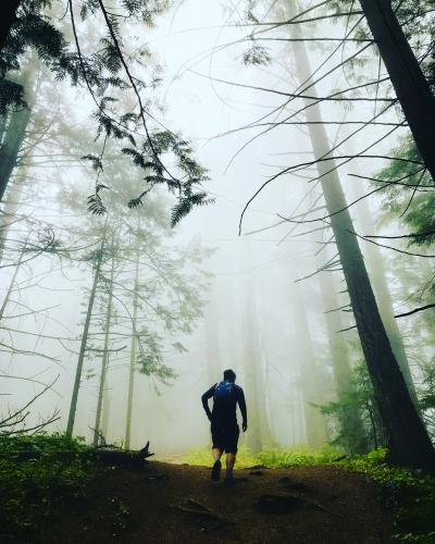 Elk Thurston Trail