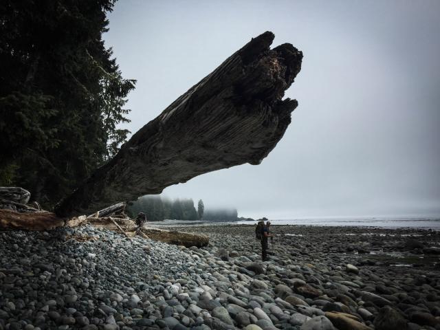 Juan De Fuca Trail