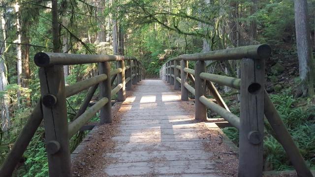 Capilano Pacific Trail