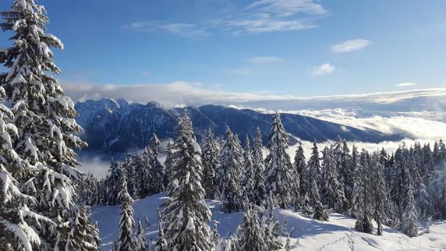 Hollyburn Upper Glades Trail