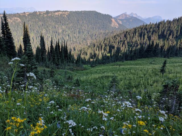 Skyline II Trail