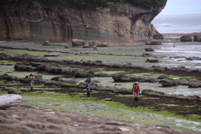 West Coast Trail