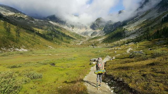 Brandywine Meadows