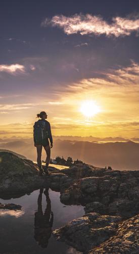 Mount Seymour Trail