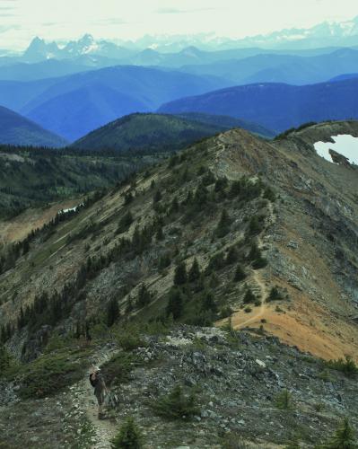 Heather Trail