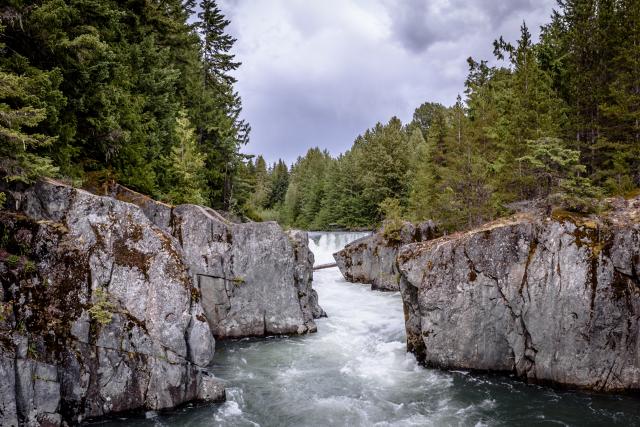 The Whistler Train Wreck Trail