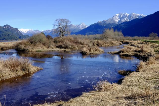 Pitt River Trail