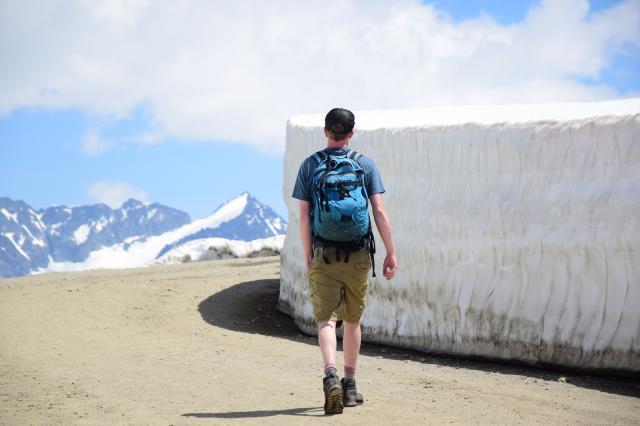 Whistler Peak Trail