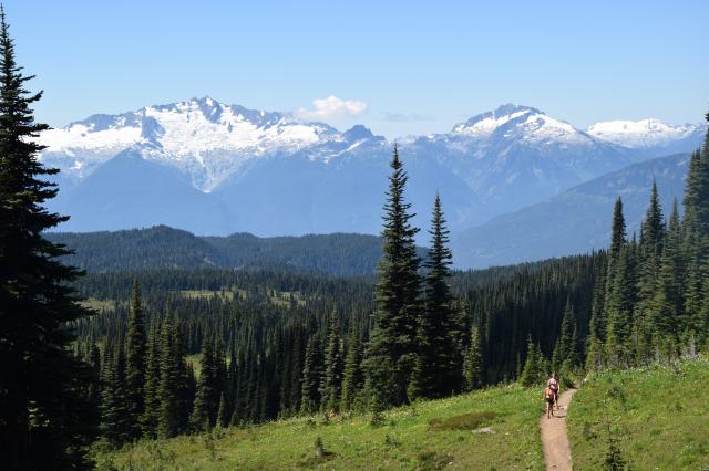 Black Tusk Trail