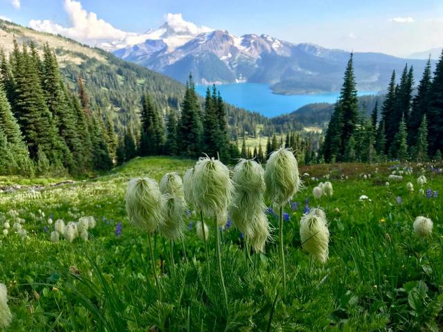 The Black Tusk/ Garibaldi Lake