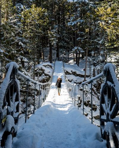 Whistler Train Wreck